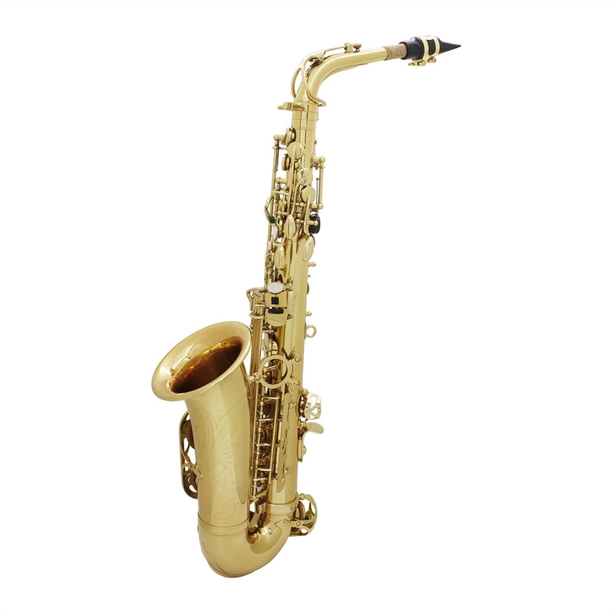Alto Saxophone Set K652041