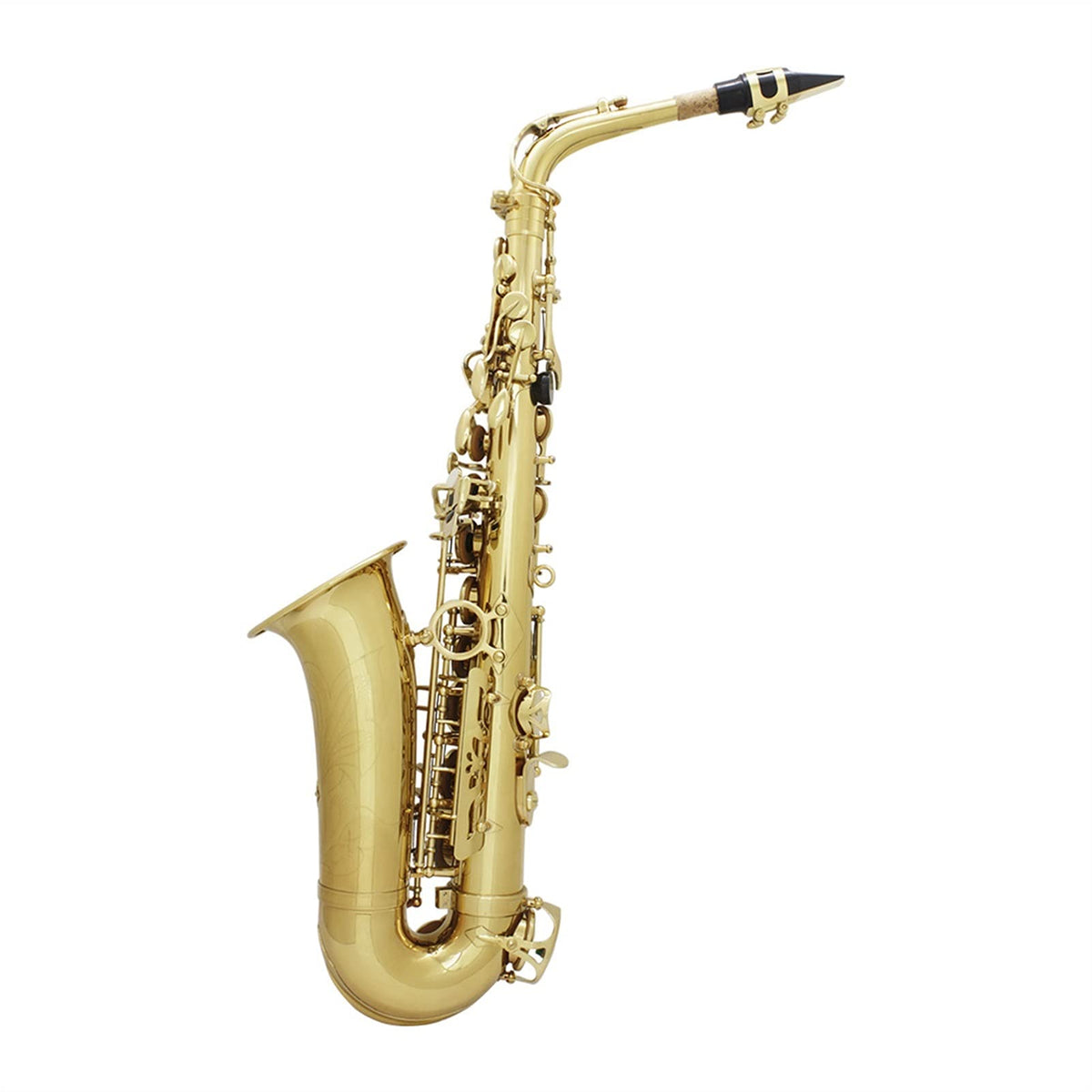 Alto Saxophone Set K652041
