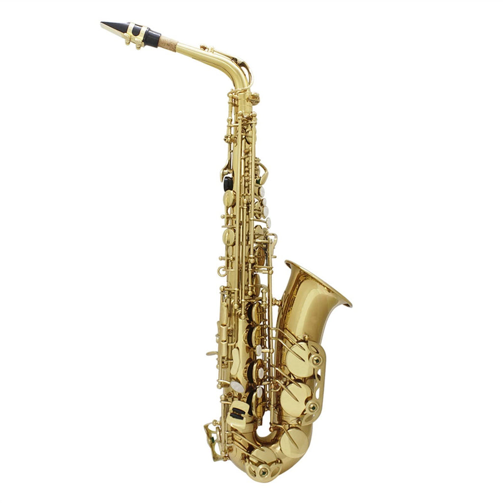 Alto Saxophone Set K652041