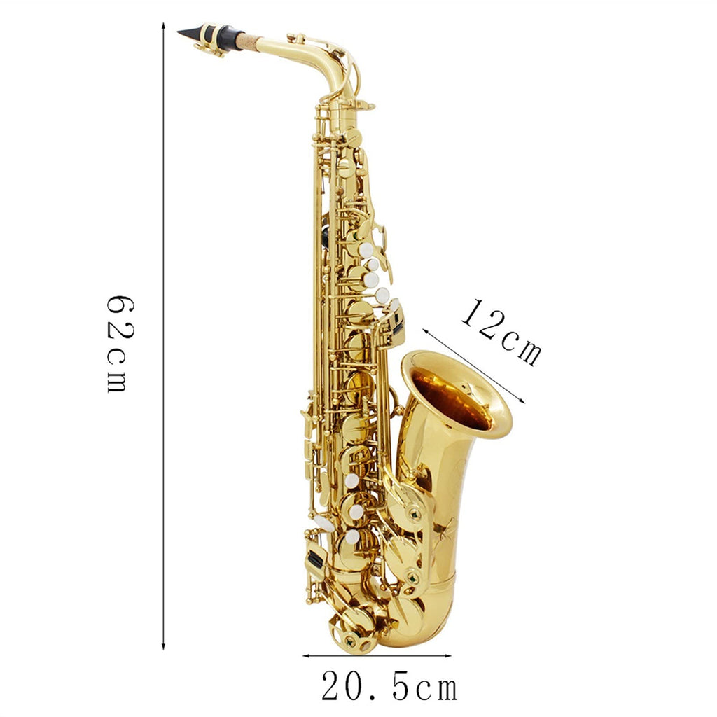 Alto Saxophone Set K652041