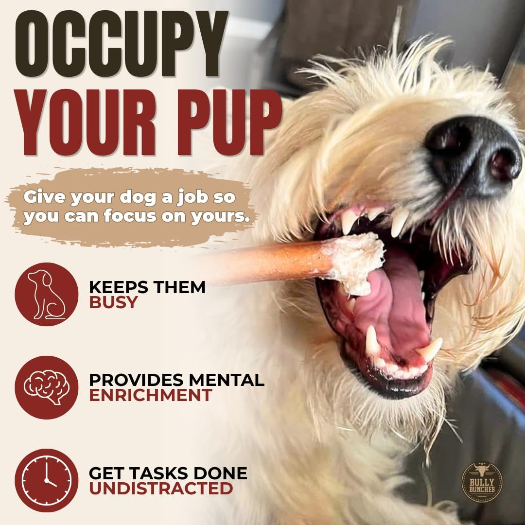 6" 5 Pack Odor-Free Bully Sticks Dog Treats Y6980