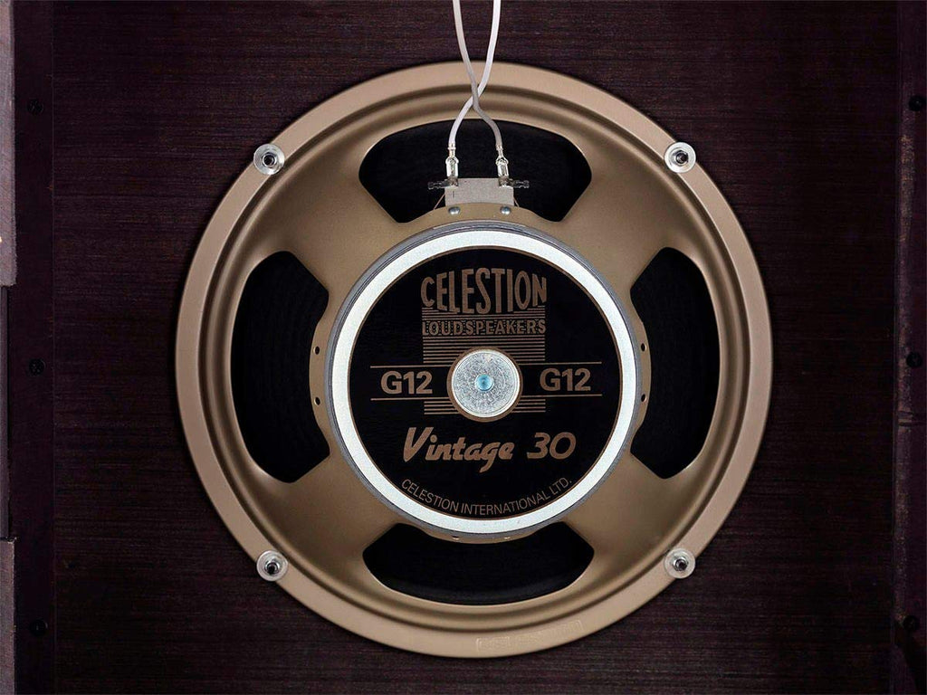1x12 Guitar Speaker Cabinet, 10 Feet Speaker Cable M25144