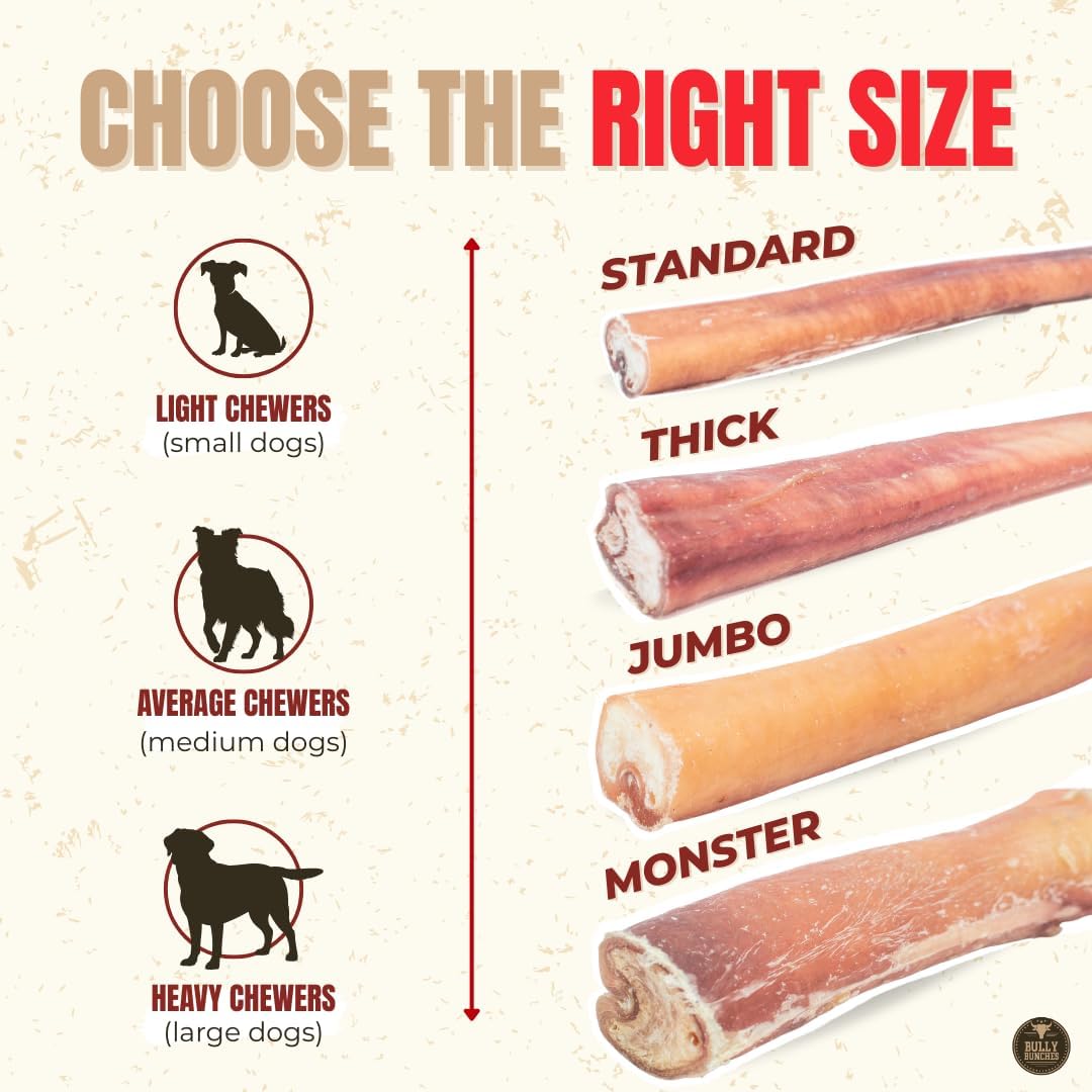 6" 5 Pack Odor-Free Bully Sticks Dog Treats Y6980
