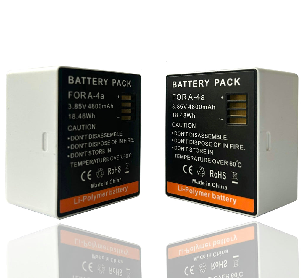 LCD Dual Charger with 2-Pack Batteries 3.85V 4800mAh B434372