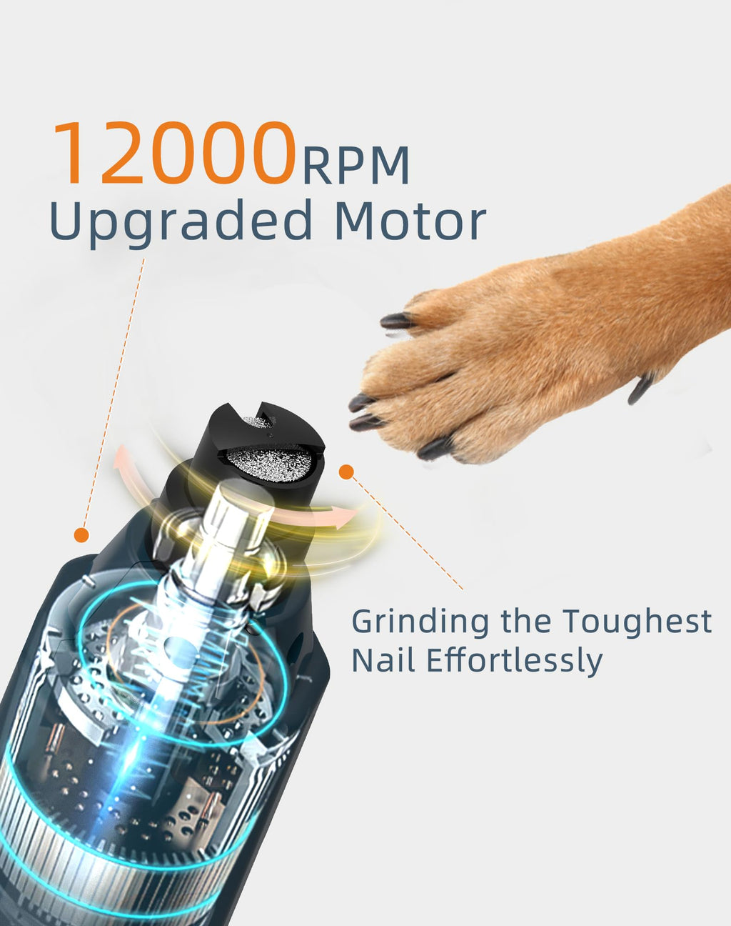 Dog Nail Grinder with 2 LED Lights D613422
