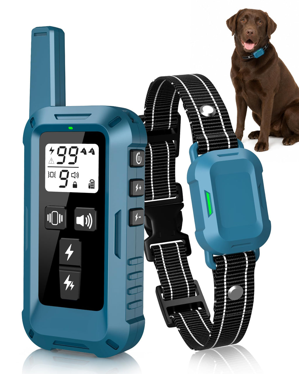 Dog Training Collar with Remote H730873