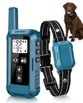 Dog Training Collar with Remote H730873