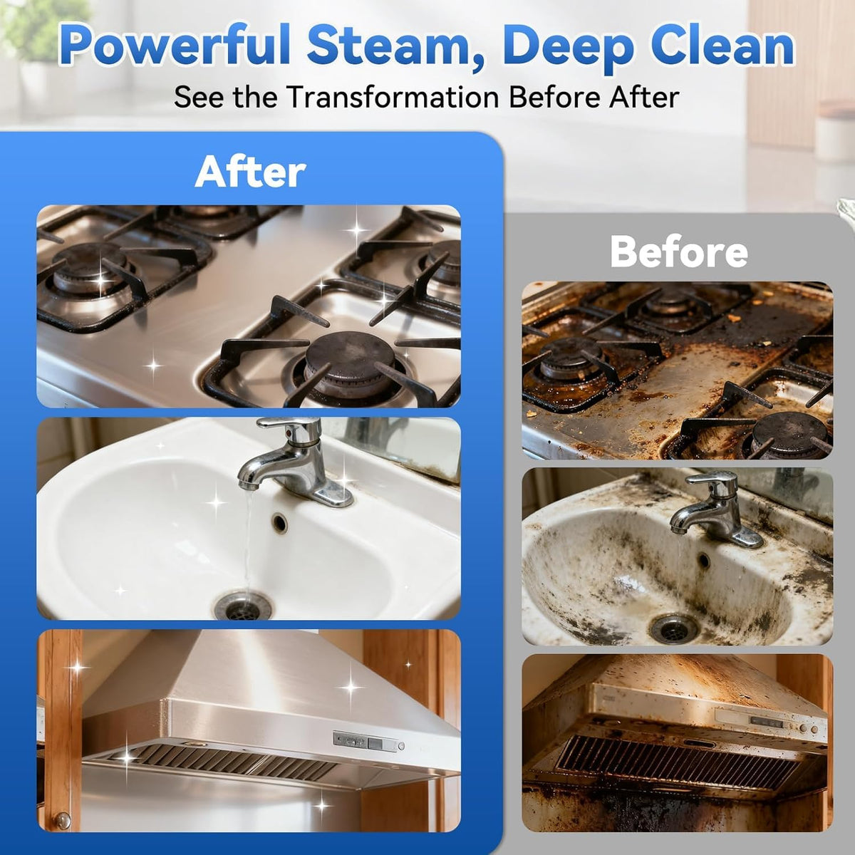 2500W High-Pressure Steam Cleaner W711