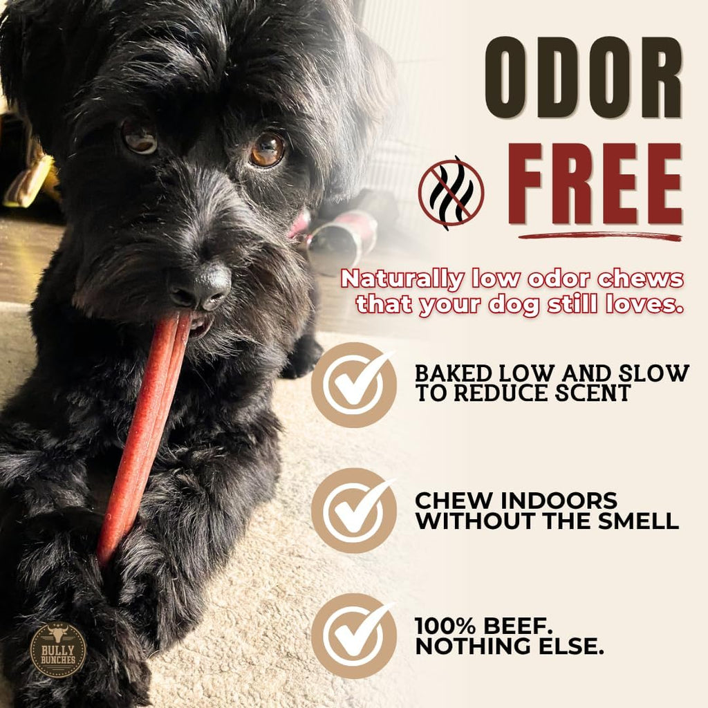 6" 5 Pack Odor-Free Bully Sticks Dog Treats Y6980