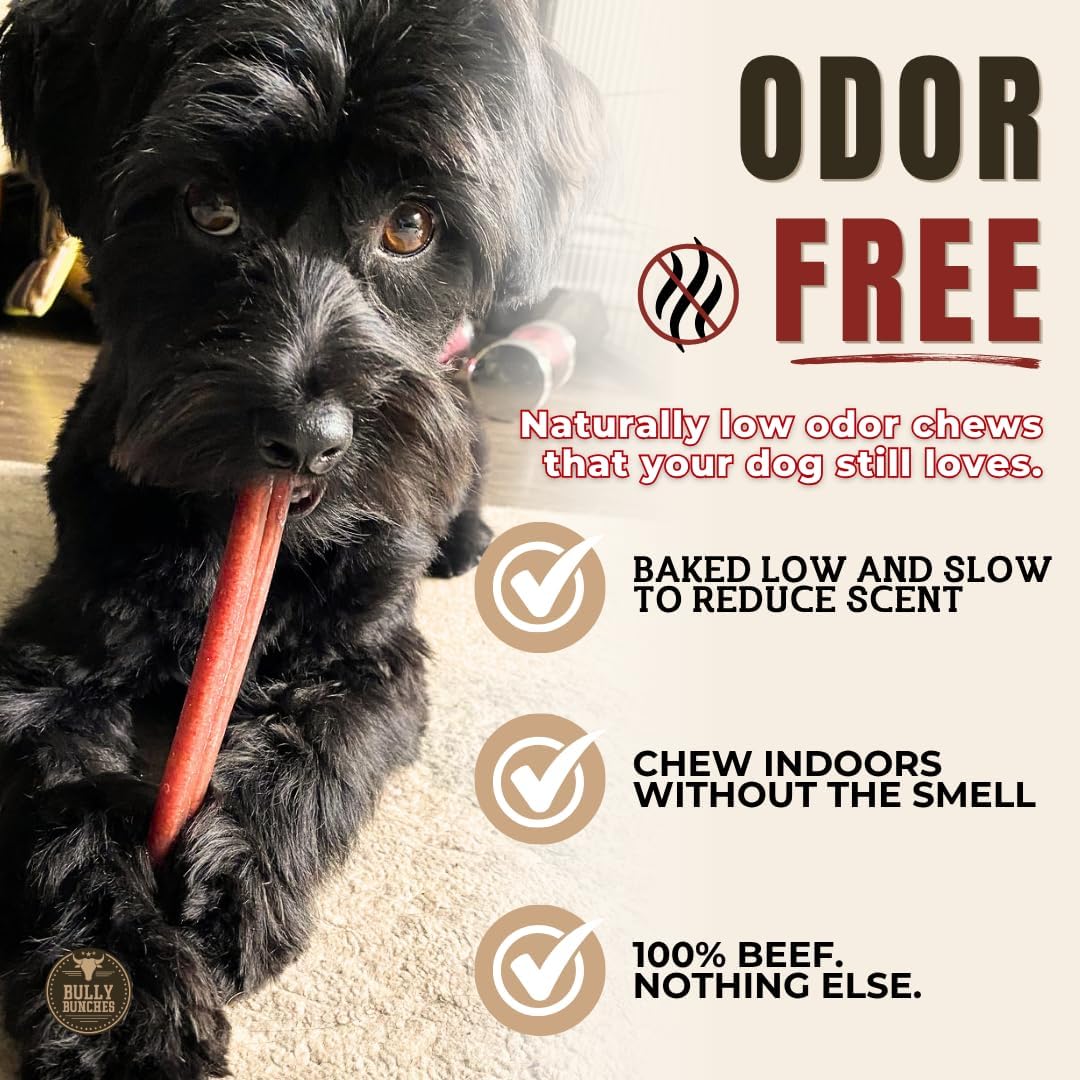 6" 5 Pack Odor-Free Bully Sticks Dog Treats Y6980