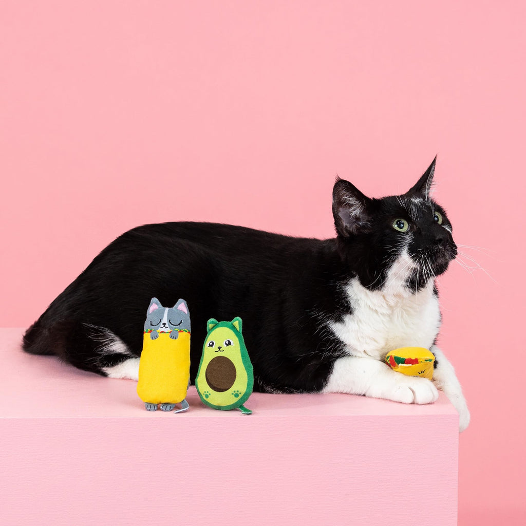 Plush Cat Toy 3 Piece Set M978