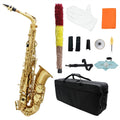 Alto Saxophone Set K652041