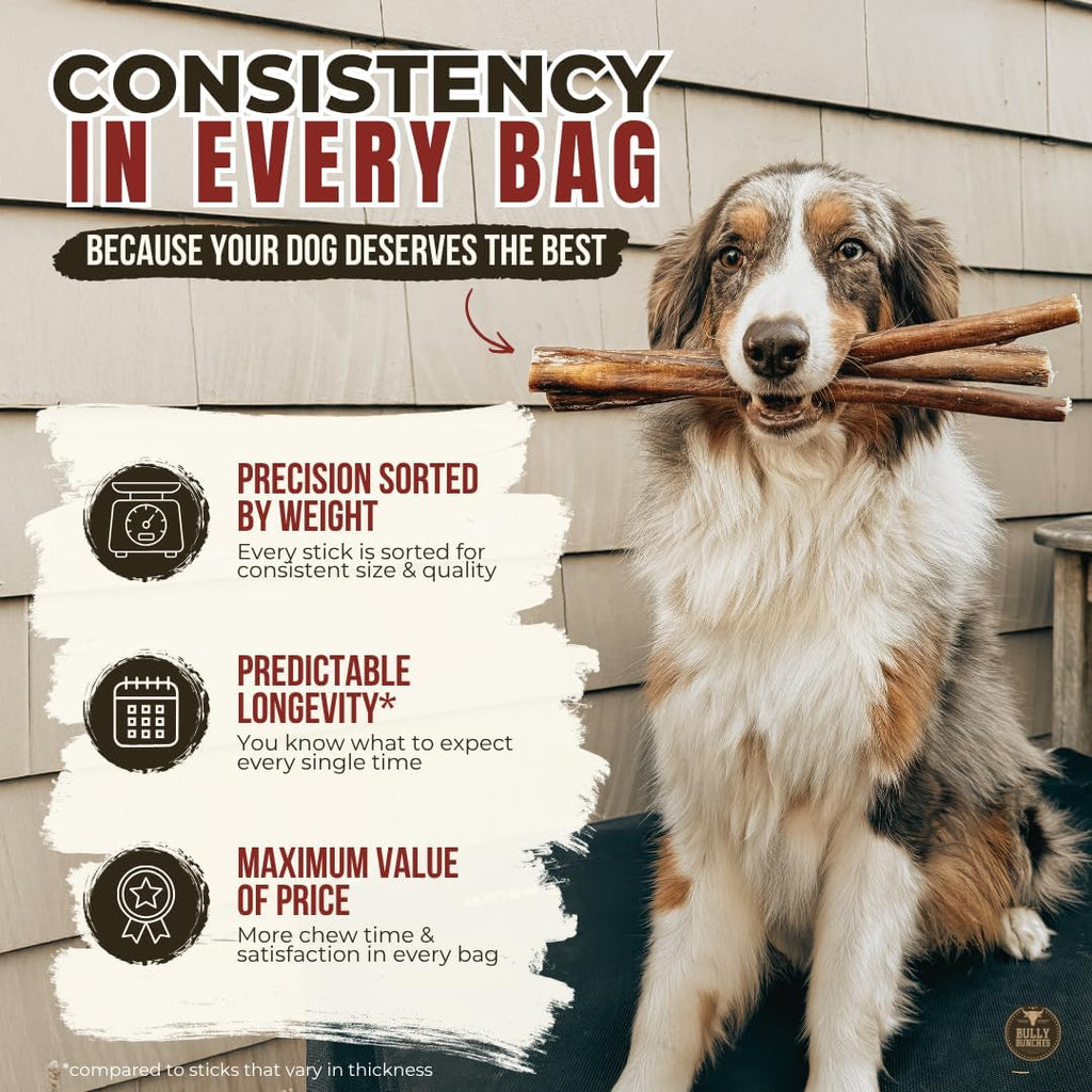 6" 5 Pack Odor-Free Bully Sticks Dog Treats Y6980