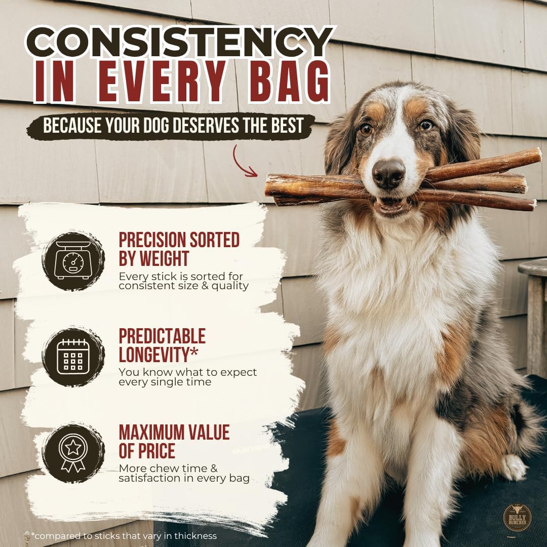 6" 5 Pack Odor-Free Bully Sticks Dog Treats Y6980