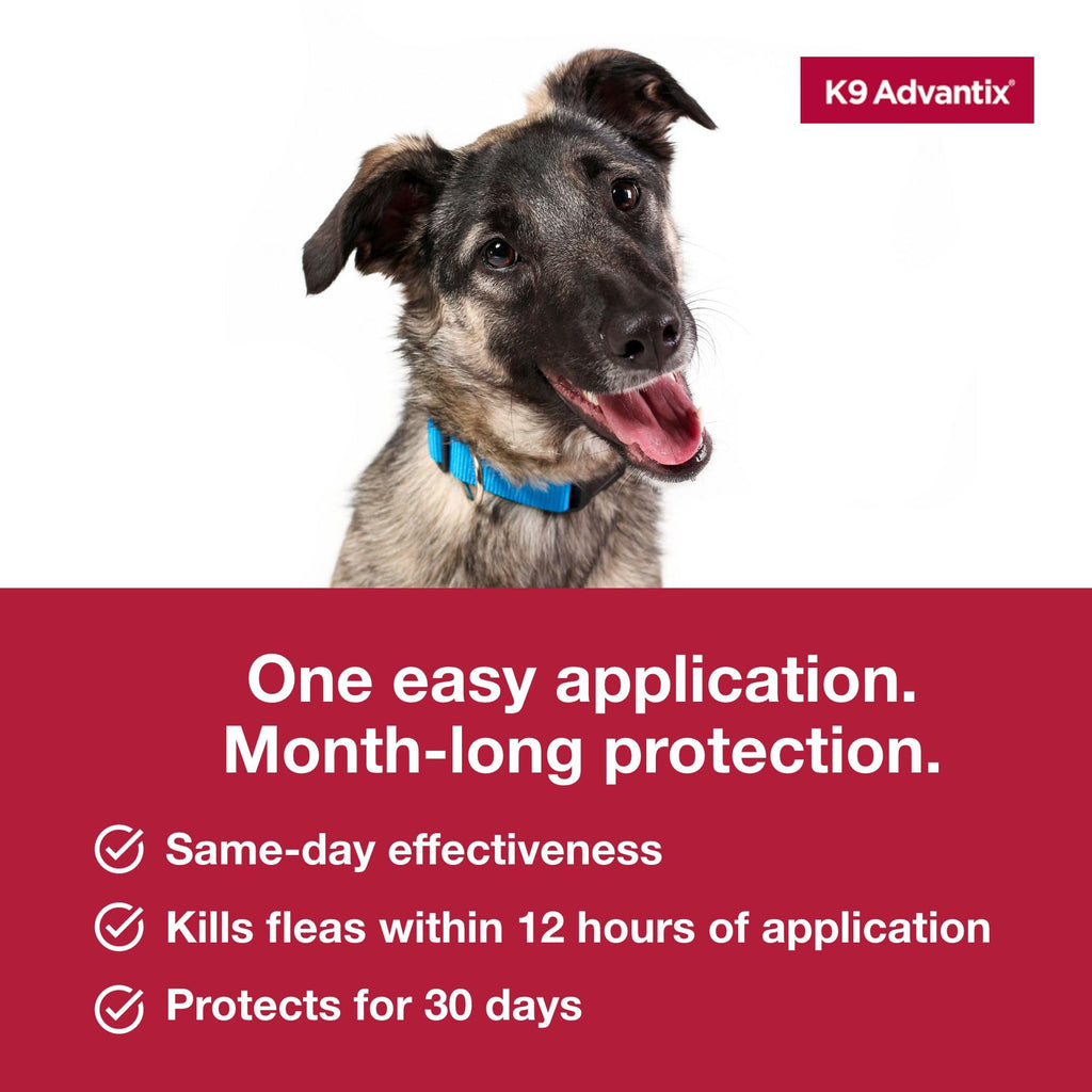 Flea Tick Mosquito Prevention for Dogs 21-55 lbs E289