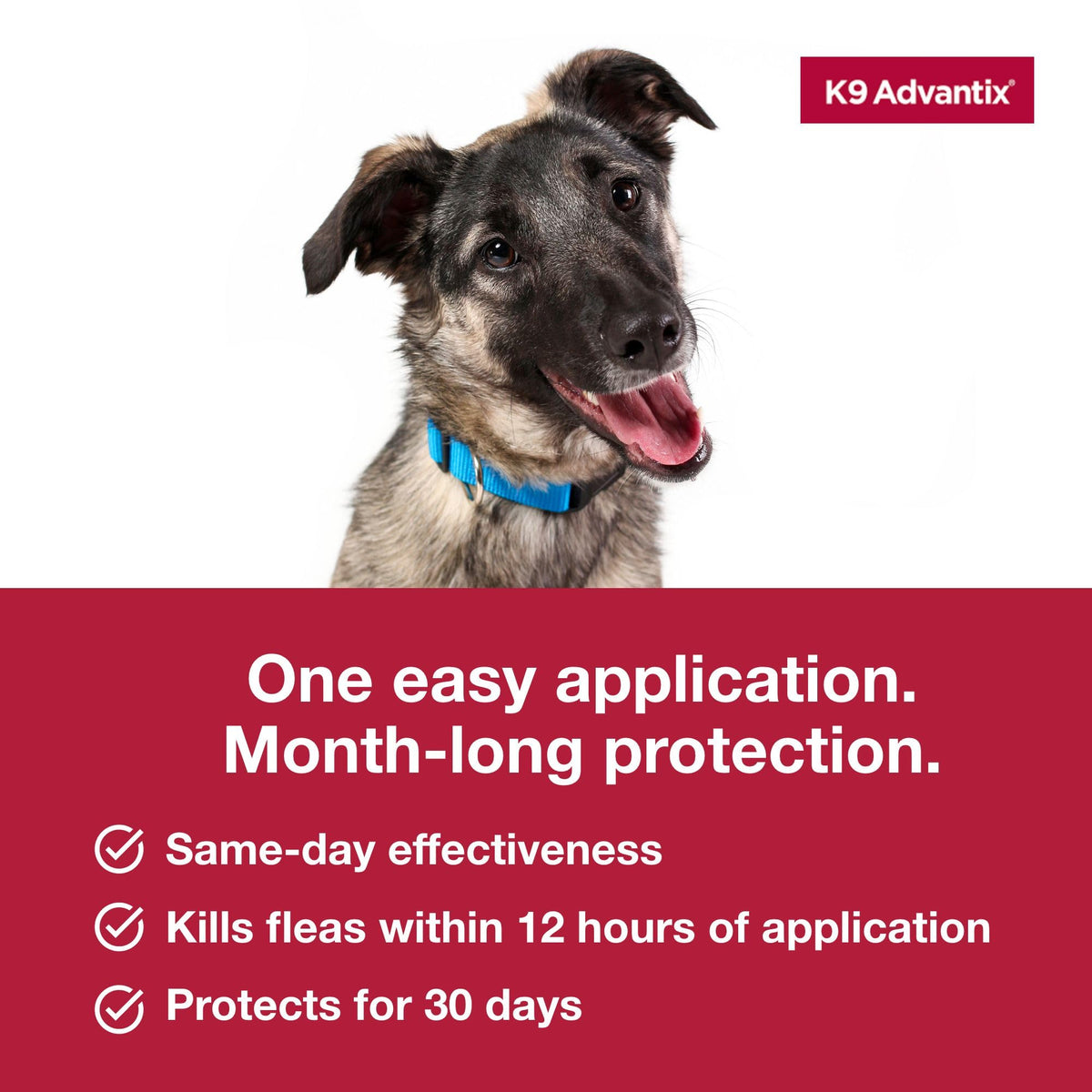 Flea Tick Mosquito Prevention for Dogs 21-55 lbs E289