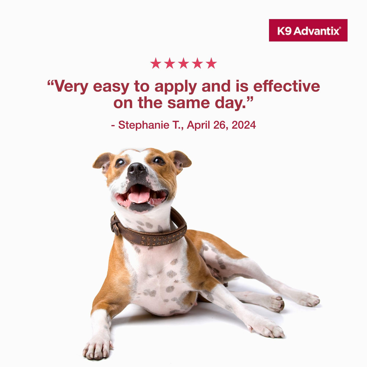 Flea Tick Mosquito Prevention for Dogs 21-55 lbs E289