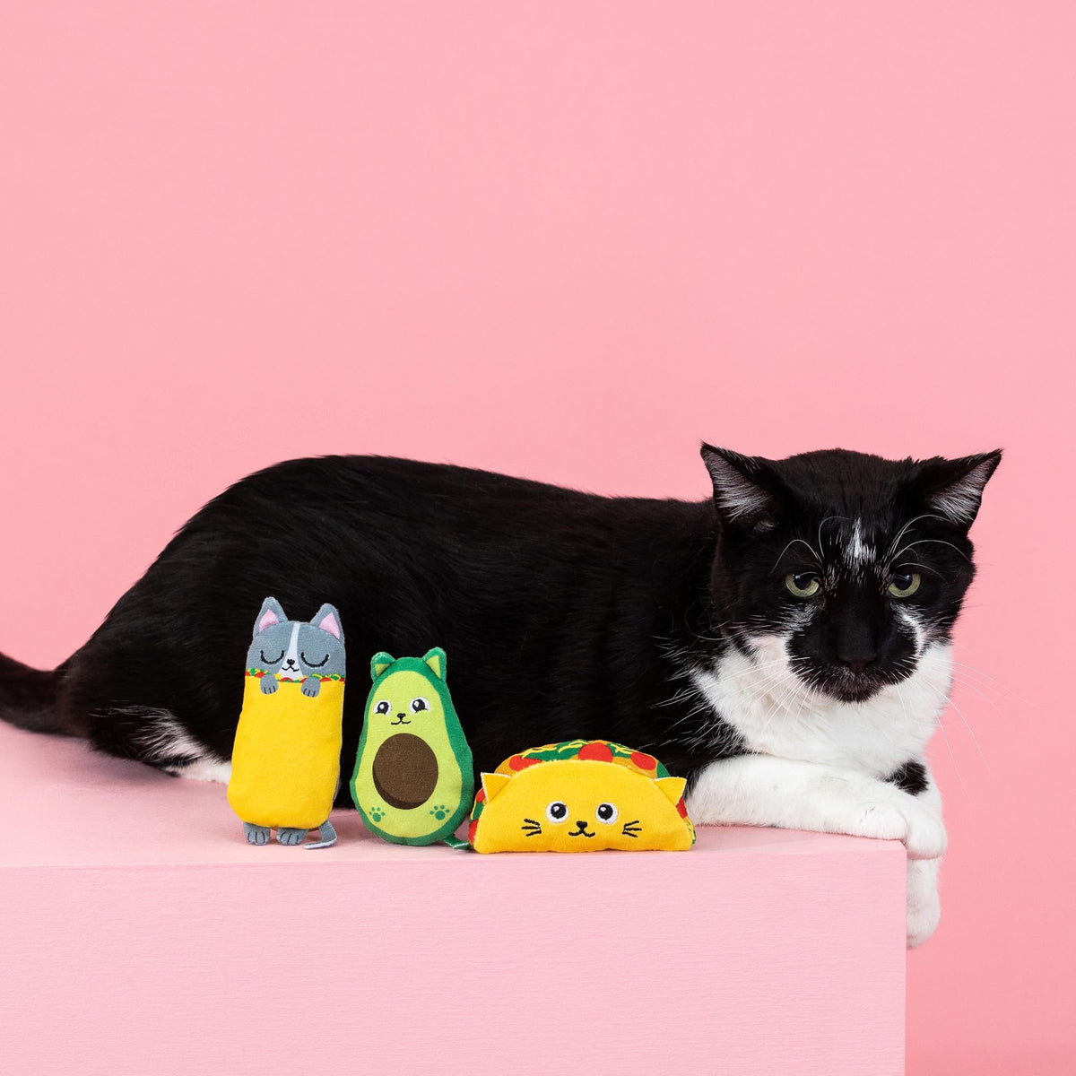 Plush Cat Toy 3 Piece Set M978
