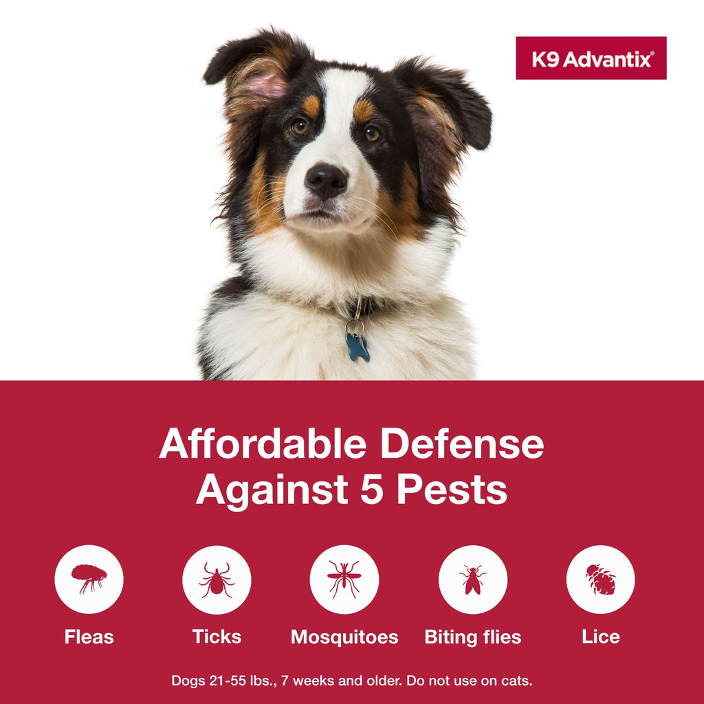Flea Tick Mosquito Prevention for Dogs 21-55 lbs E289