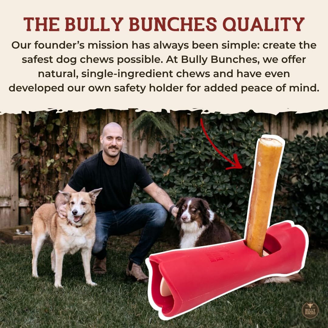 6" 5 Pack Odor-Free Bully Sticks Dog Treats Y6980