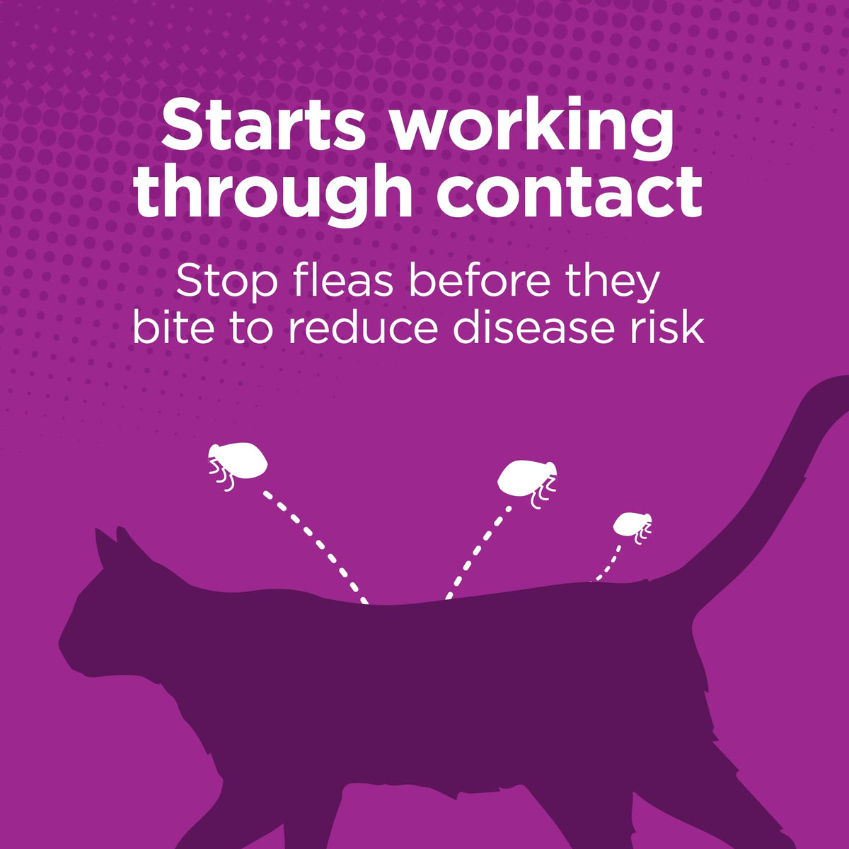 Flea Treatment for Small & Medium Cats 5-9 lbs, 6 Doses Q36704