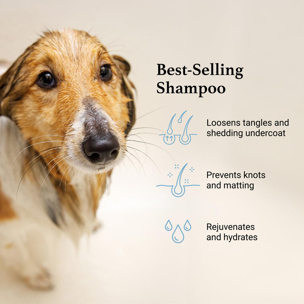 Deshedding & Detangling Dog Shampoo 1 GAL C311778