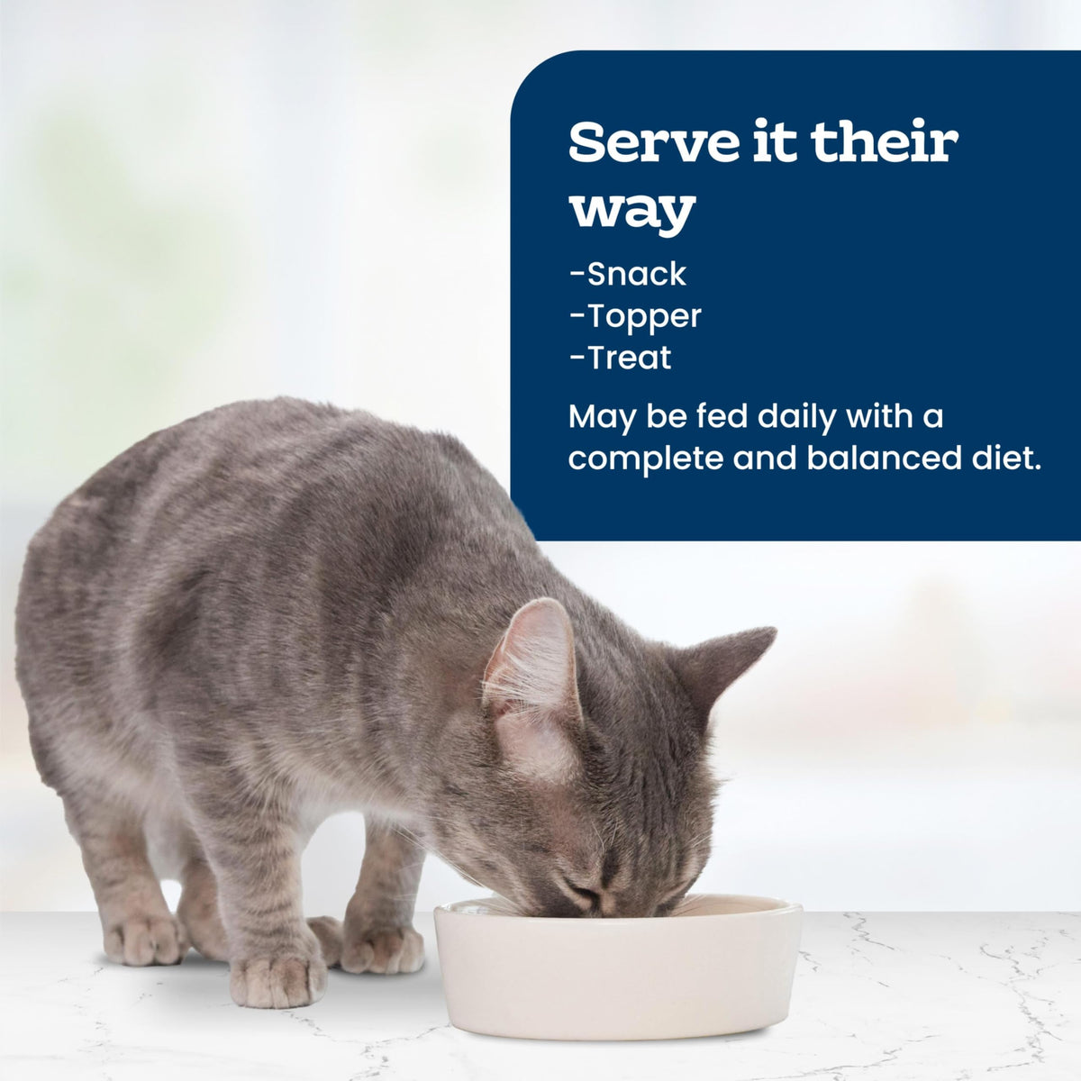 Cat Food Topper, 3 Ounce (Pack of 24) T76398
