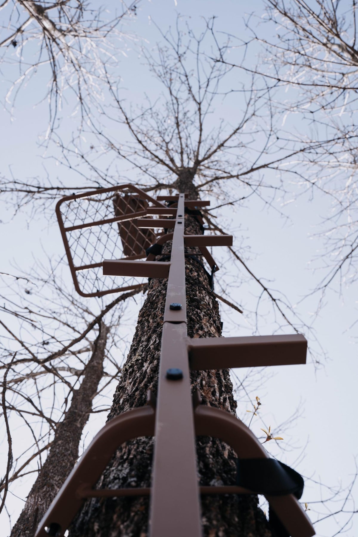 16 FT Steel Treestand Climbing Sticks O472684