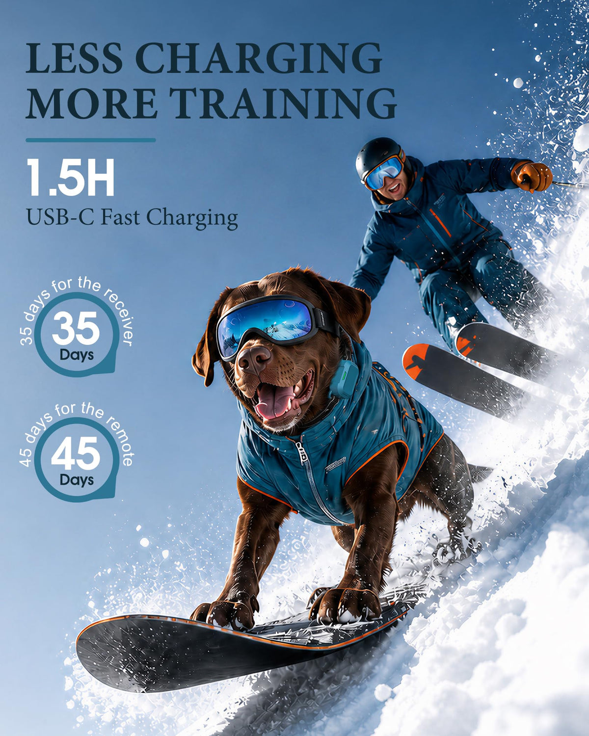 Dog Training Collar with Remote H730873