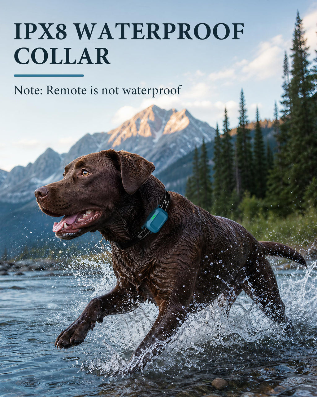 Dog Training Collar with Remote H730873