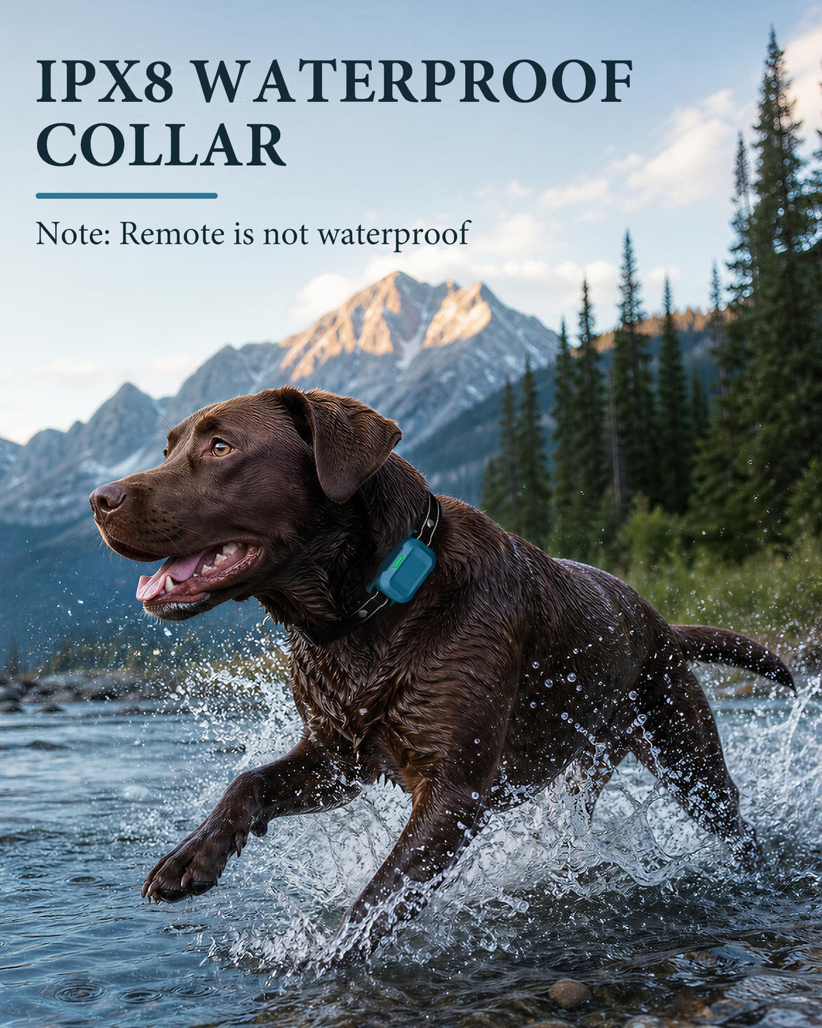 Dog Training Collar with Remote H730873