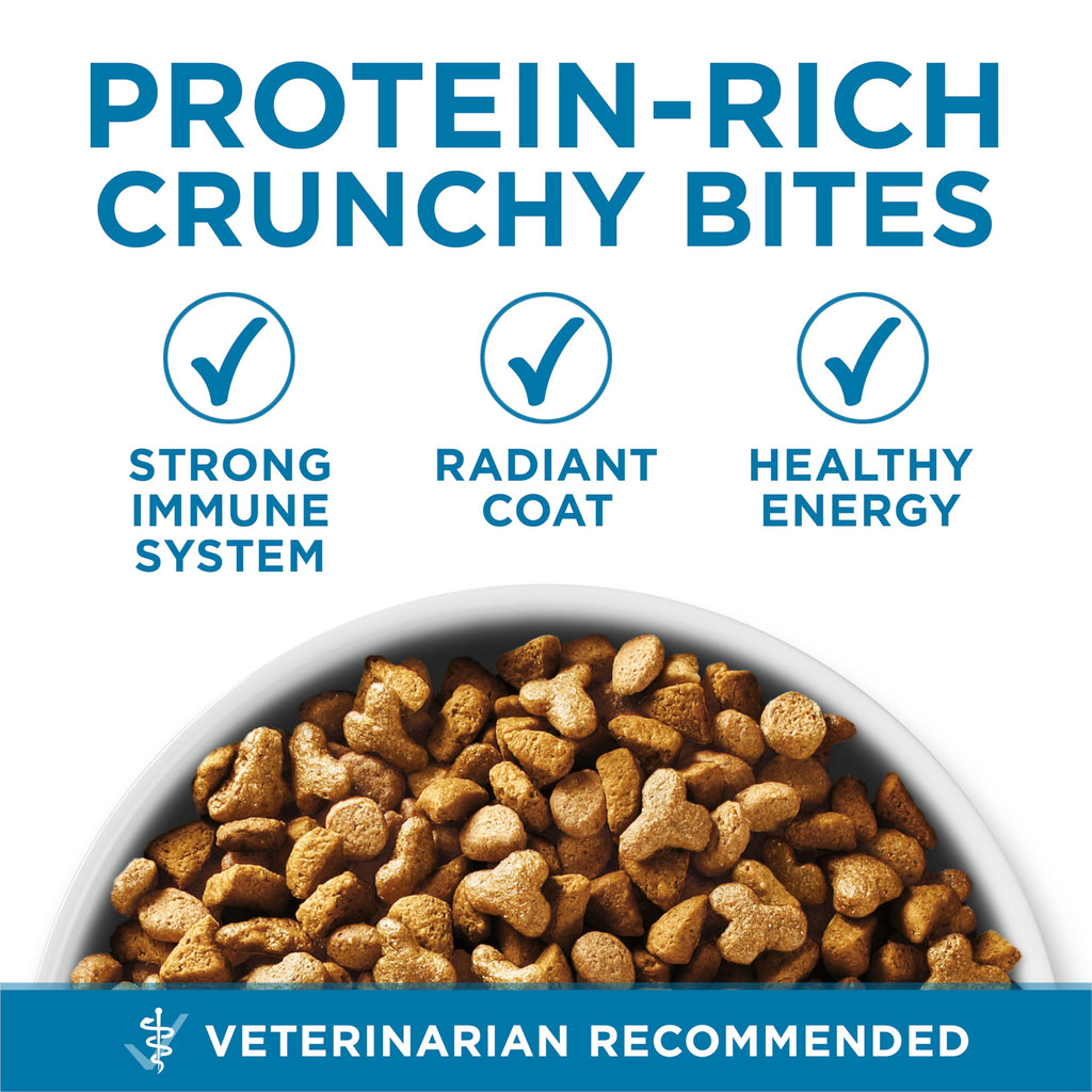 Senior Dry Cat Food 3.5 lb Bag I924037