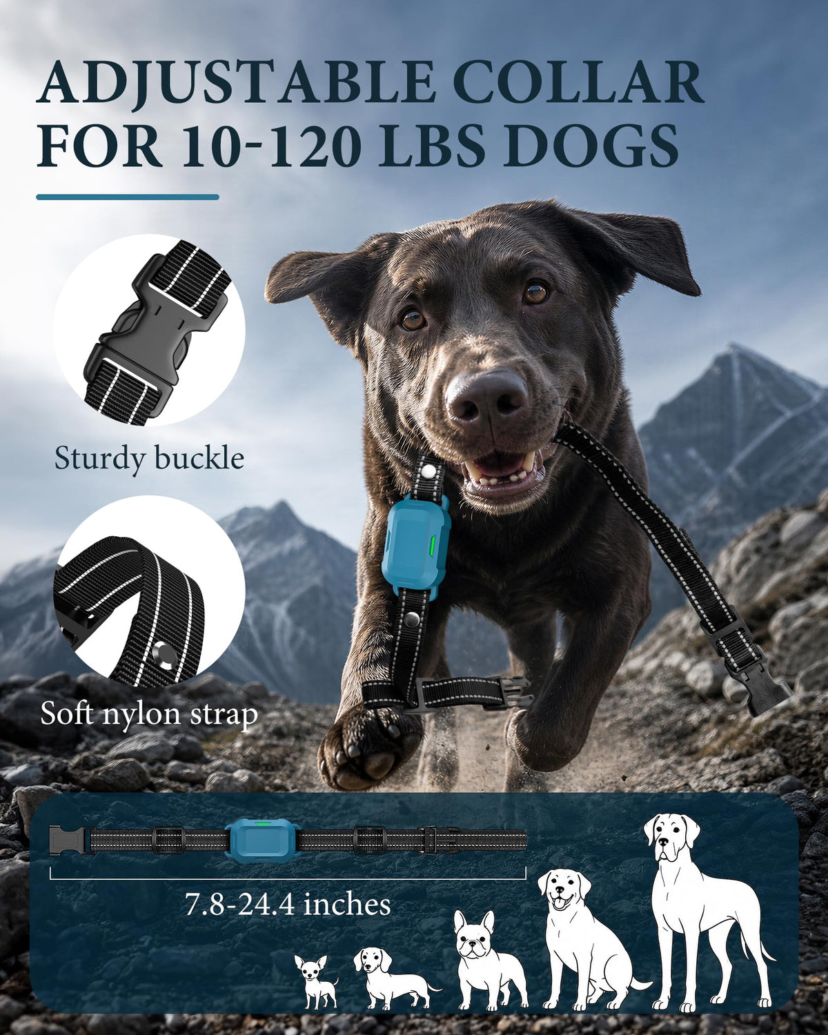Dog Training Collar with Remote H730873