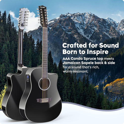 12 String Acoustic Electric Guitar Q655