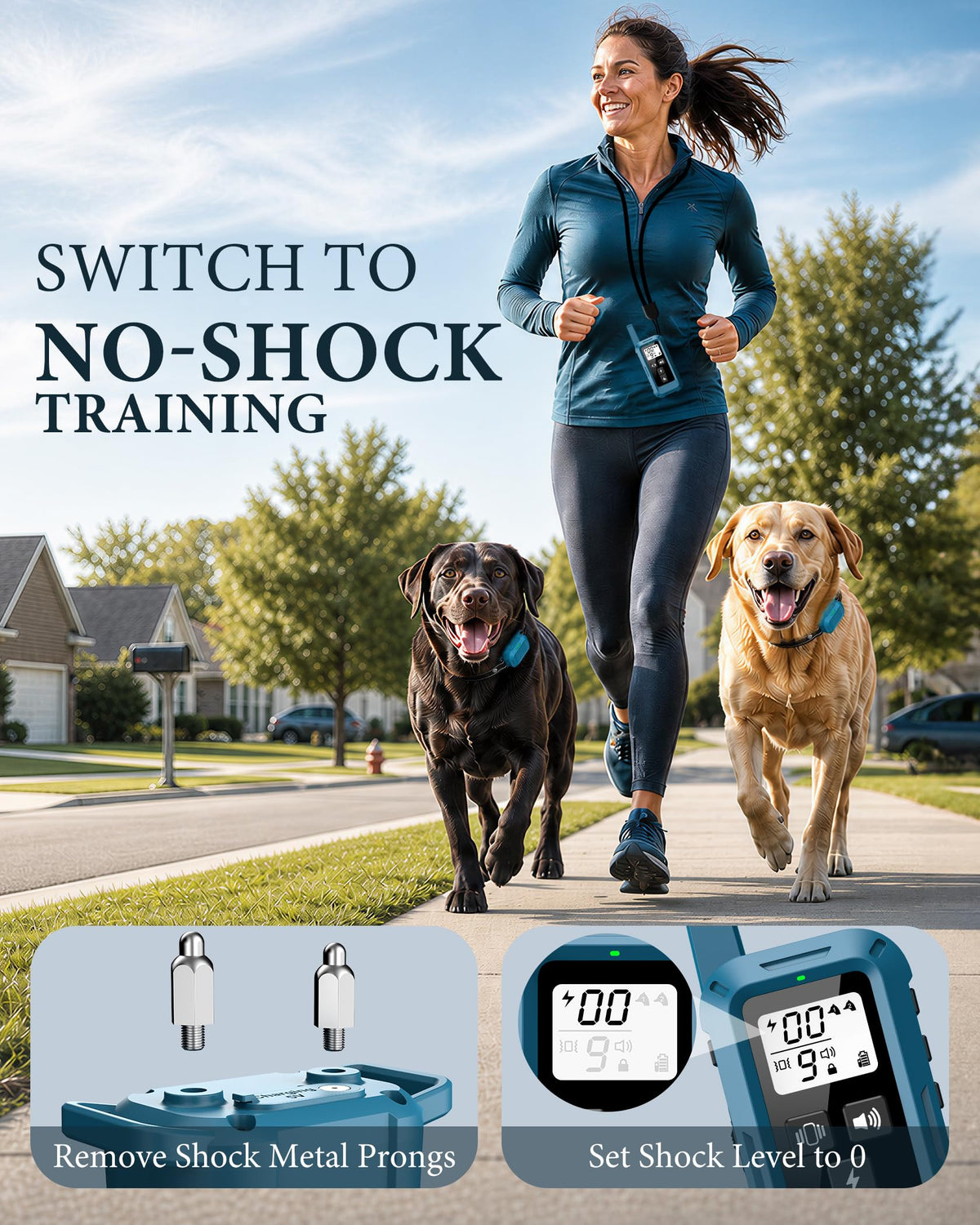 Dog Training Collar with Remote H730873