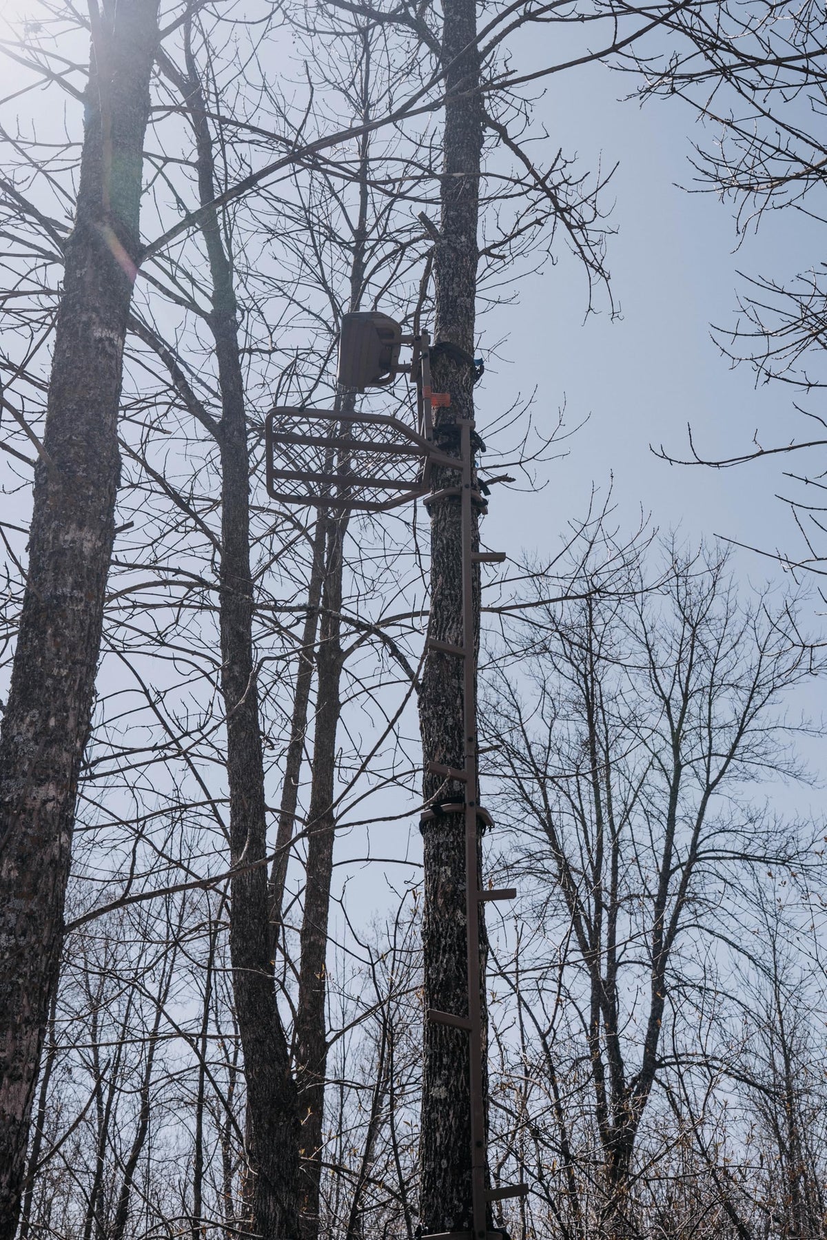 16 FT Steel Treestand Climbing Sticks O472684