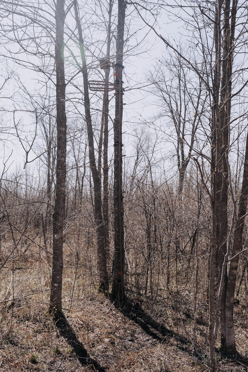 16 FT Steel Treestand Climbing Sticks O472684