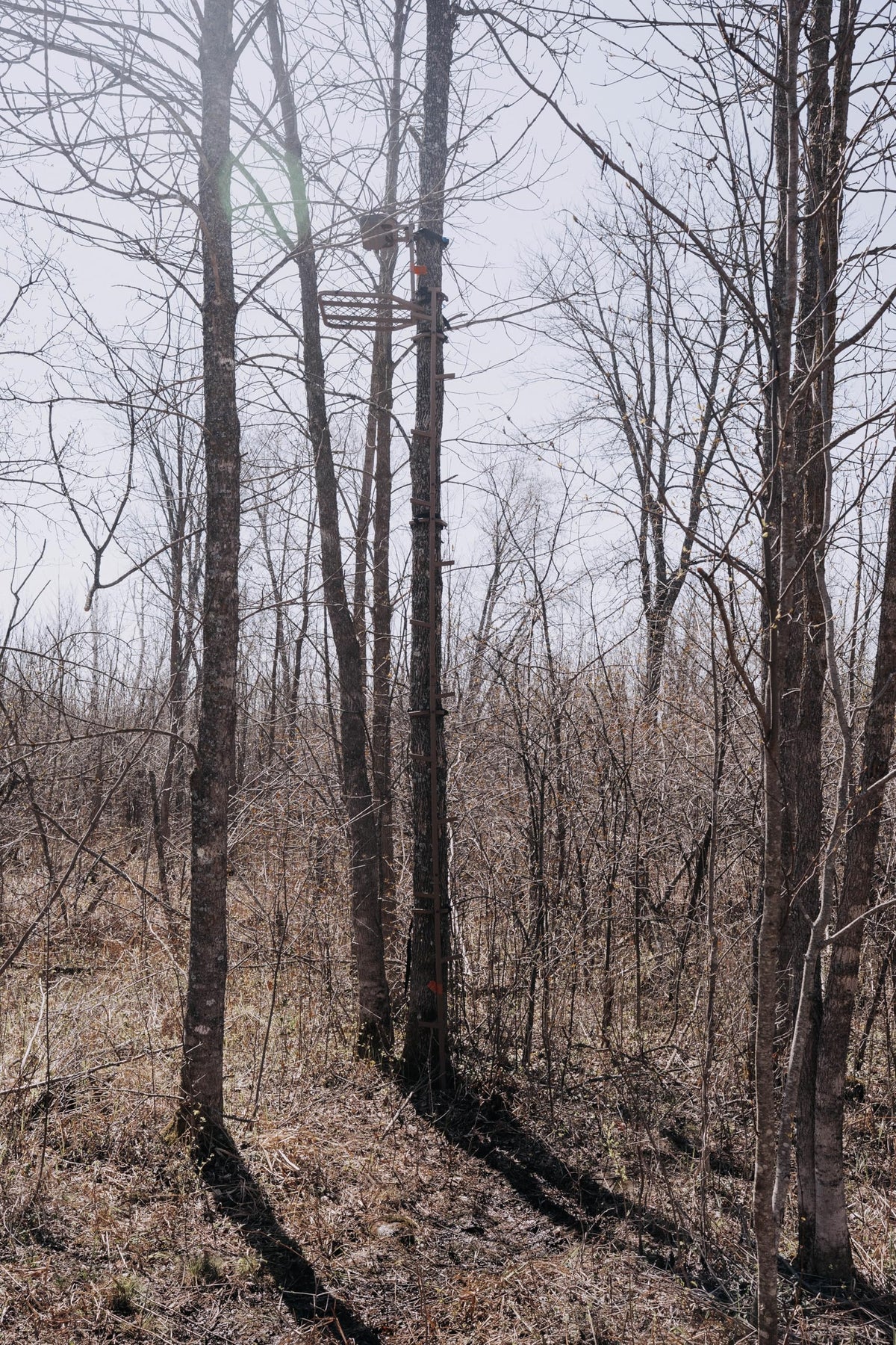 16 FT Steel Treestand Climbing Sticks O472684